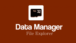 Data Manager (File explorer)
