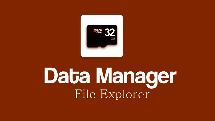 Data Manager (File explorer)