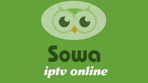 Sowa Pro Guide