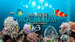 Marine Aquarium