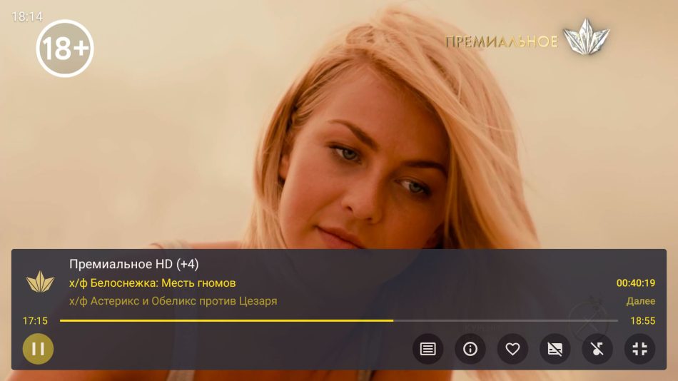 Link TV