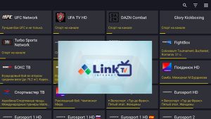 Link TV