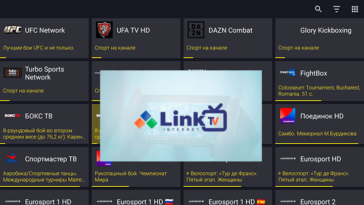 Link TV